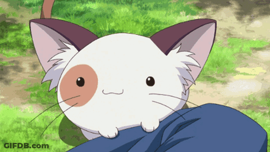 Cat Eating Yummy Human Food GIF
