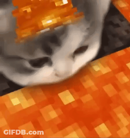 Cat Edited Minecraft Lava GIF