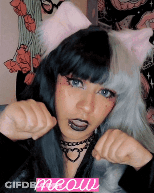 Cat Egirl Meow GIF