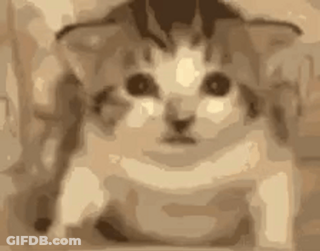 Cat Explode With Just One Touch GIF