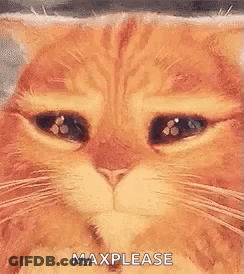 Cat Eyes Closed Saying Max Please GIF