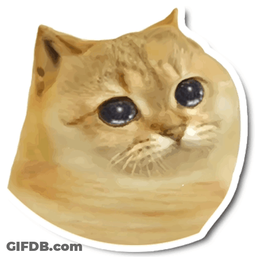 Cat Eyes Screaming Out Sticker GIF