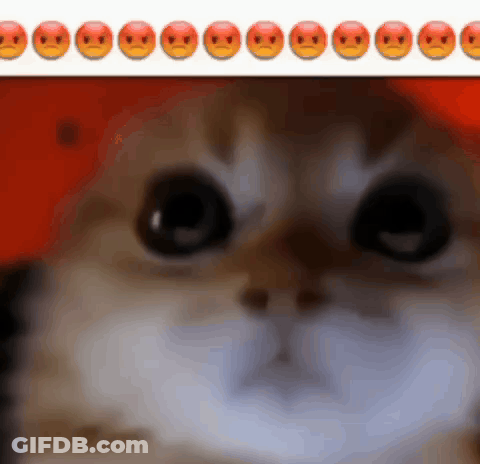 Cat Face Close Up With Smiley Faces GIF