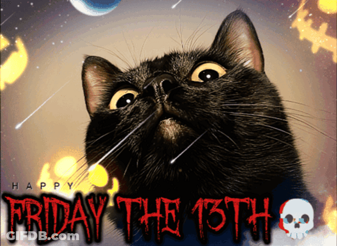 Cat Face Closeup Happy Friday The 13Th GIF