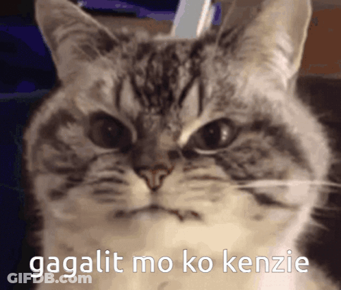 Cat Face Gagalit Mo Ko Kenzie GIF