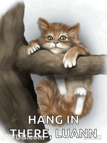 Cat Face Miaou GIF