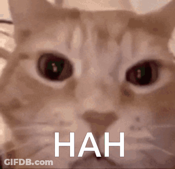 Cat Face Nah GIF