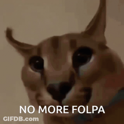 Cat Face No More Folpa GIF