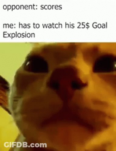Cat Face Opponent Scores GIF