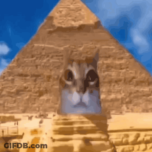 Cat Face Painted On Pyramid GIF