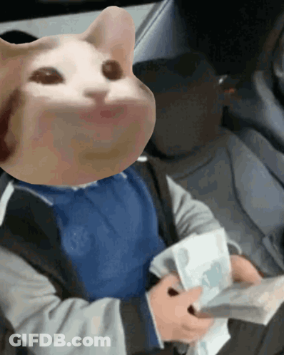 Cat Face Person Holding Money GIF