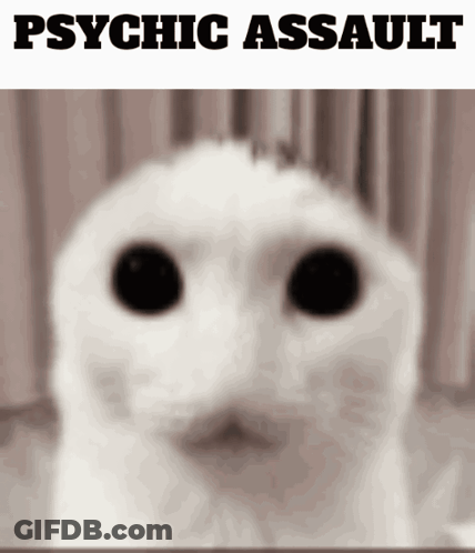Cat Face Psychic Assault GIF