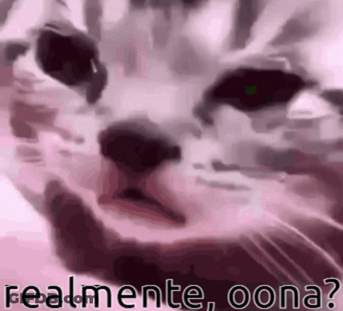 Cat Face Realmente Oona? GIF
