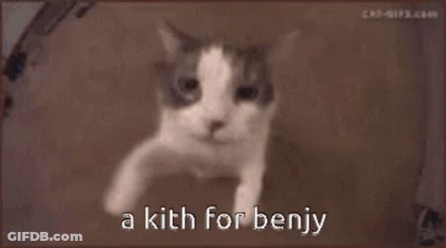 Cat Face Saying A Kith For Benjy GIF