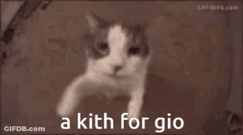 Cat Face Saying A Kith For Gio GIF