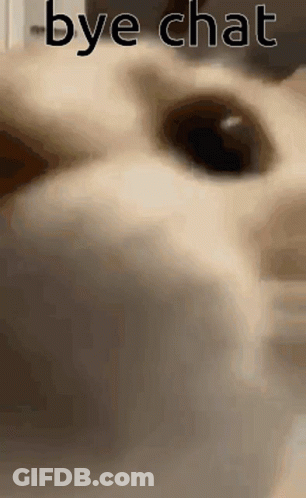 Cat Face Saying Bye Chat GIF