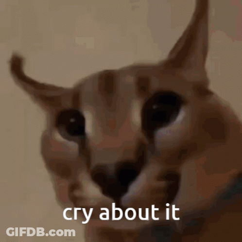 Cat Face Saying Cry About It GIF