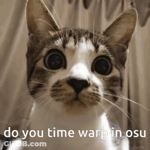 Cat Face Saying Do You Time Warp In Osu GIF