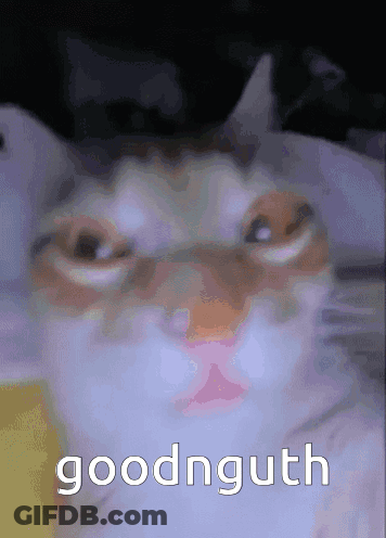 Cat Face Saying Goodnguth GIF