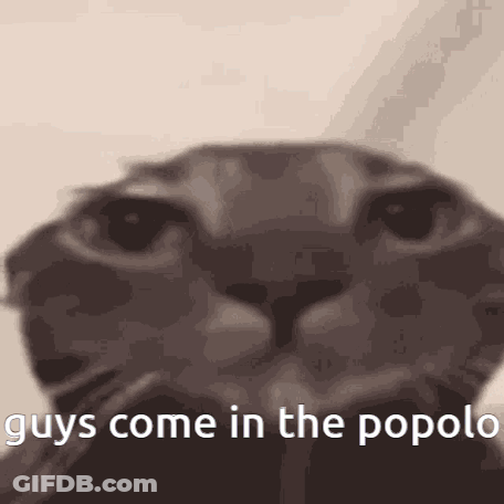 Cat Face Saying Guys Come In The Popolo GIF