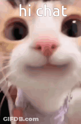 Cat Face Saying Hi Chat GIF