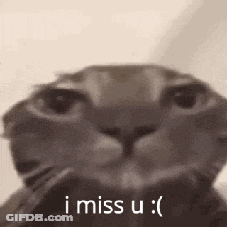 Cat Face Saying I Miss U GIF