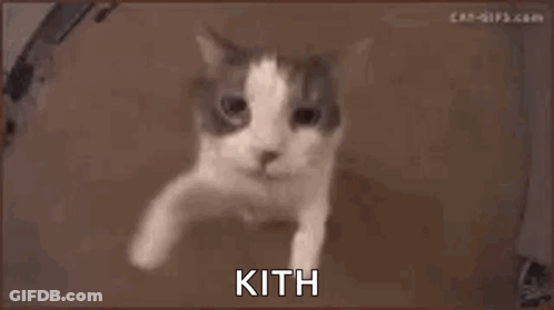 Cat Face Saying Kith GIF
