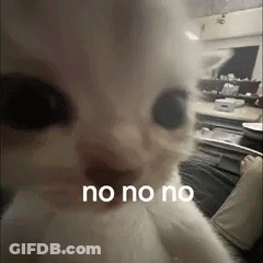 Cat Face Saying No No No GIF