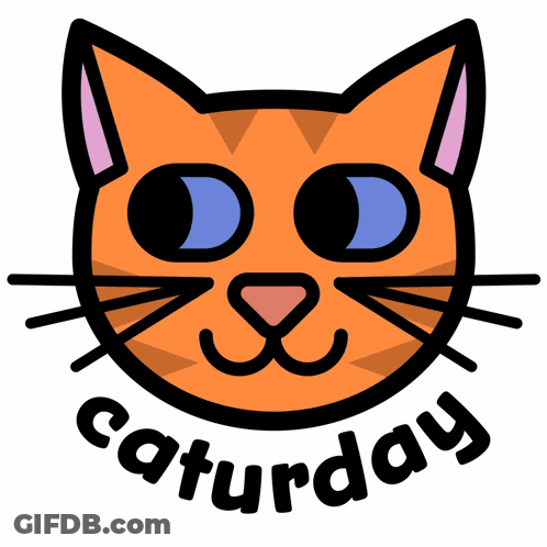 Cat Face Saying Saturday GIF