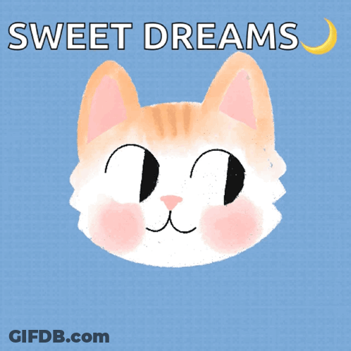 Cat Face Saying Sweet Dreams GIF