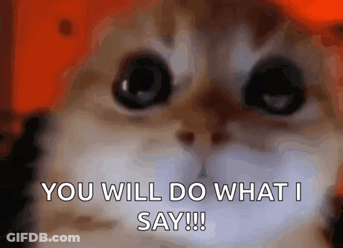 Cat Face Saying You Will Do What I Say GIF