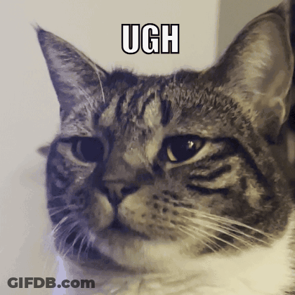 Cat Face Ugh GIF