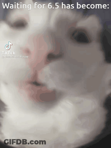 Cat Face Waiting For 6.5 Has Become GIF