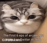 Cat Face With Arcane Leak Text GIF