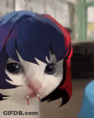 Cat Face With Cartoon Character Head GIF