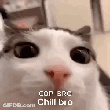Cat Face With Cop Bro Chill Bro GIF