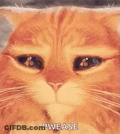 Cat Face With Eyes Closed Pwease GIF