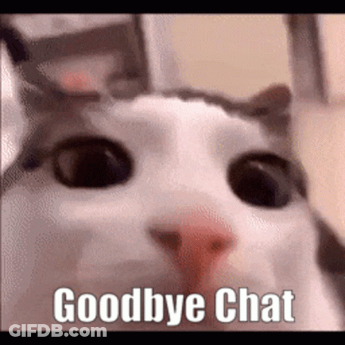 Cat Face With Goodbye Chat Above GIF