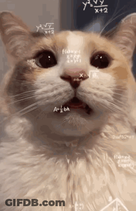 Cat Face With Math Equations GIF