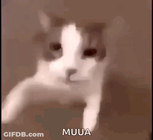 Cat Face With Muua Text GIF