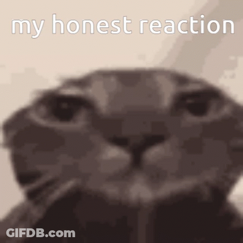 Cat Face With My Honest Reaction Text GIF