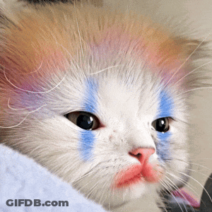 Cat Face With Red And Blue Paint GIF