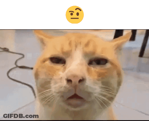 Cat Face With Smiley Behind GIF