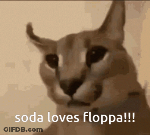 Cat Face With Soda Loves Floppa GIF