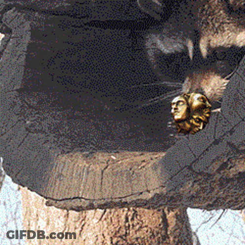 Cat Face With Two-Faced Statue GIF