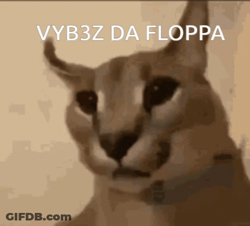 Cat Face With Vybz Da Floppa Text GIF