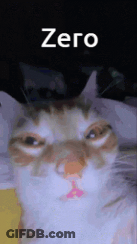 Cat Face Zero GIF