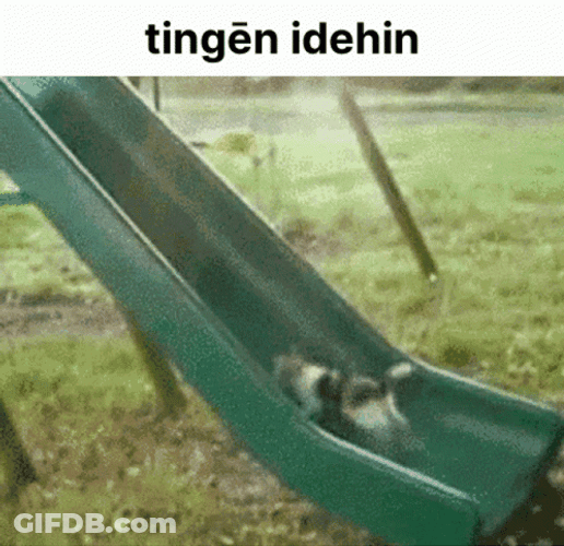 Cat Fail To Climb The Slide GIF