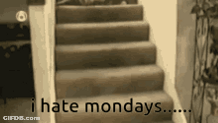 Cat Falling Down Stairs Hate Mondays GIF