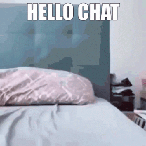 Cat Falling Over Hello Chat GIF